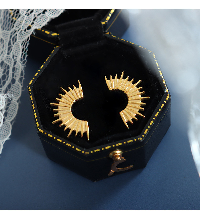 Simple Style Geometric Titanium Steel Plating Earrings 1 Pair