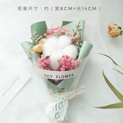 White Kapok+Fan Man+Lover Cao+Green and Green Paper