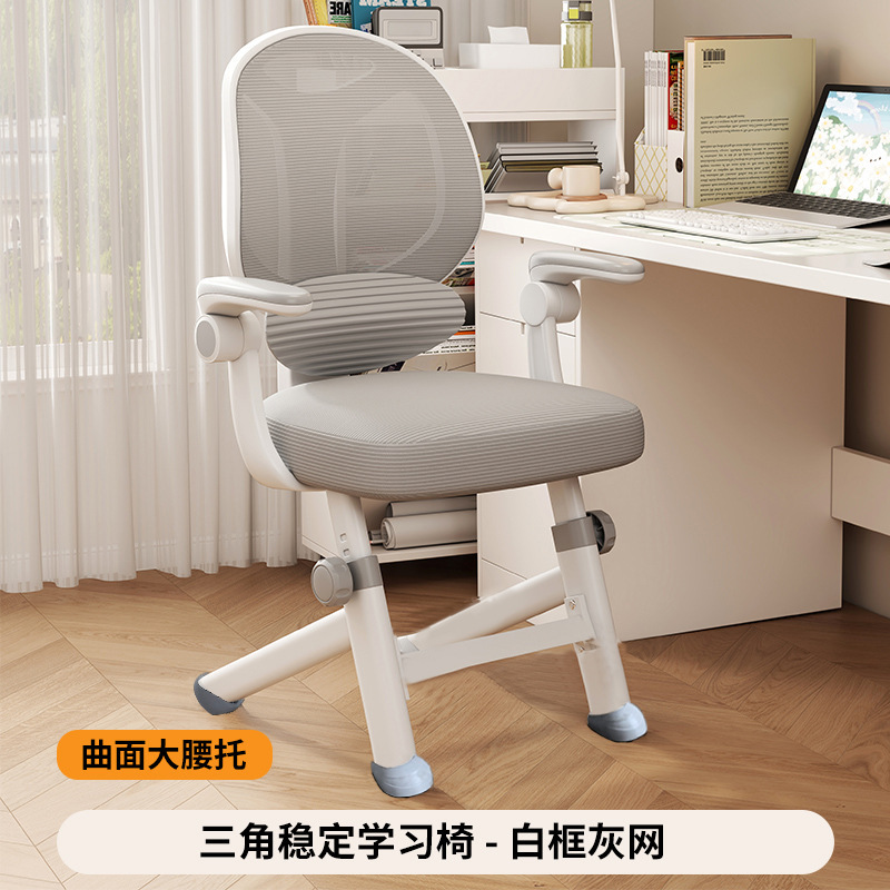 Study Chair for Middle and High School Students, Youth Ergonomic Chair, Adjustable Height Desk Chair for Homework