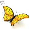 Big butterfly