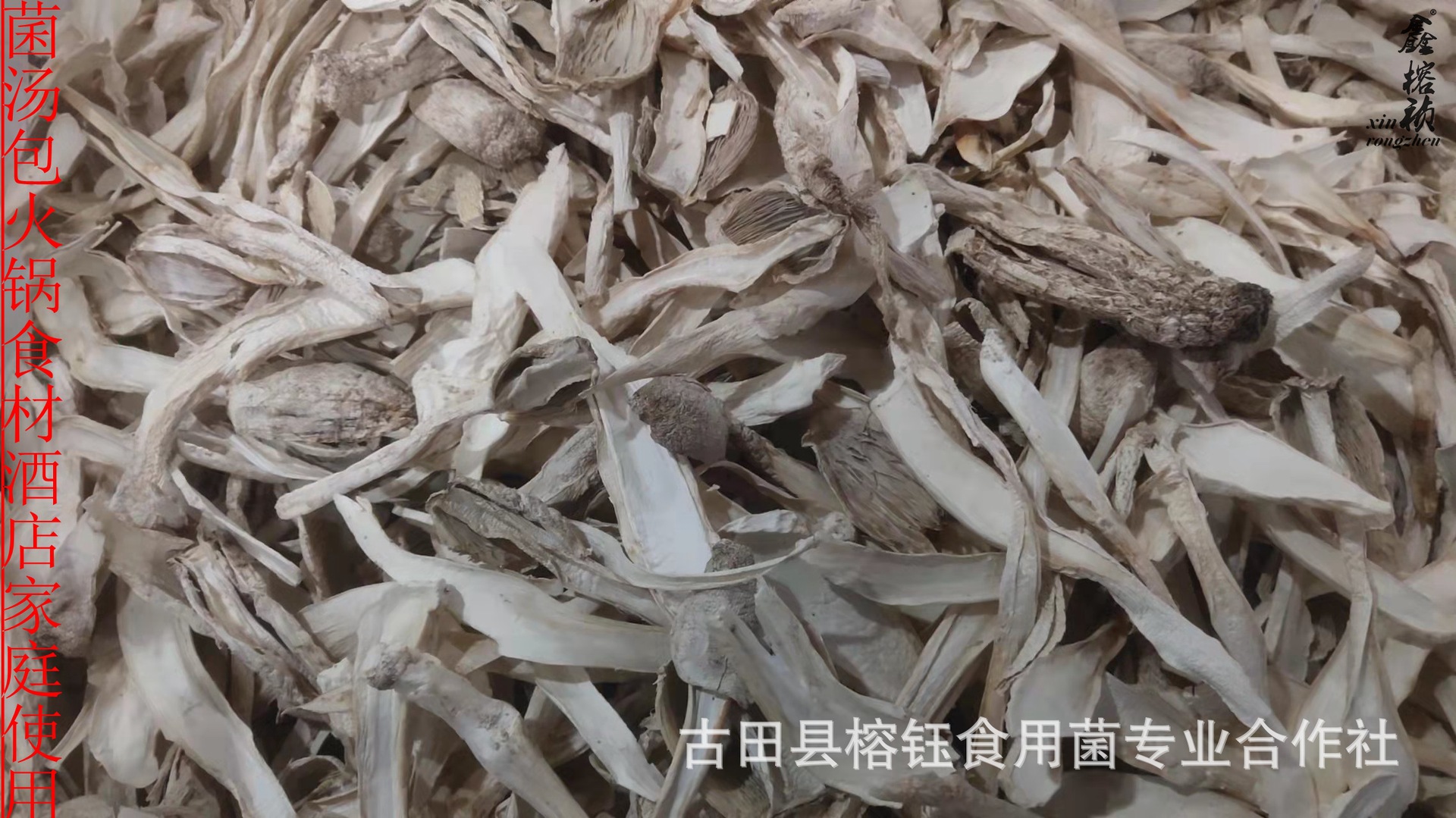 鸡腿菇宝贝详情