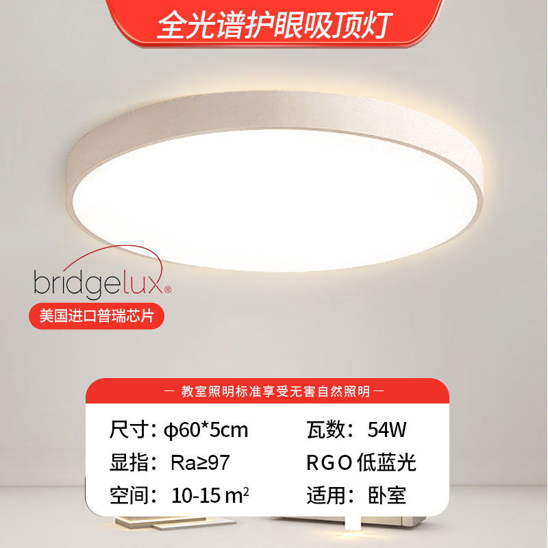 Chip Puri importado - Circular 60cm - 54w