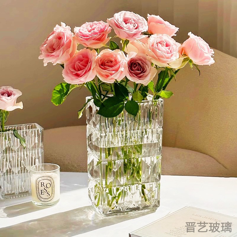 北歐現代簡約透明玻璃盧索高級感花瓶家用水培高顏值擺件ins風