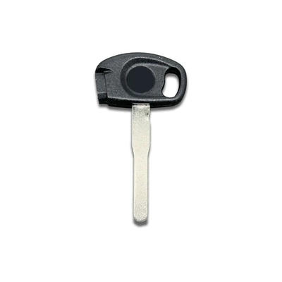 Magnets Covered with Light – Motorcycle Key