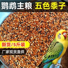 �B�Z�W�^��ϻ�ϼZ��Ƥĵ�����P���B�����Bʳ��ɫ���S�����B�Zʳ