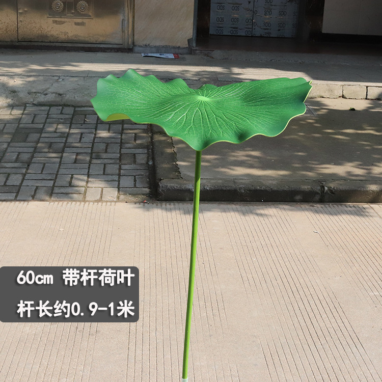 줄기 포함 잎 직경 60cm 줄기 길이 90cm