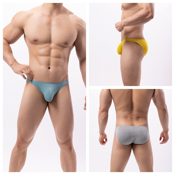 Wholesale Supply of Brave Person Men's Underwear Men's Briefs B1205