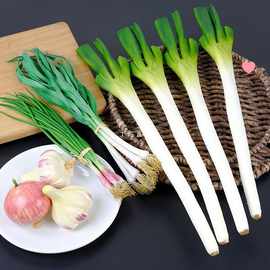 大葱香菜山东大蒜苗蔬菜模型假葱酒店厨房装饰摆设挂件玩道具