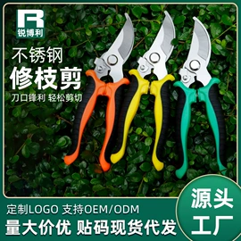 厨用剪刀;修枝剪;家用剪刀