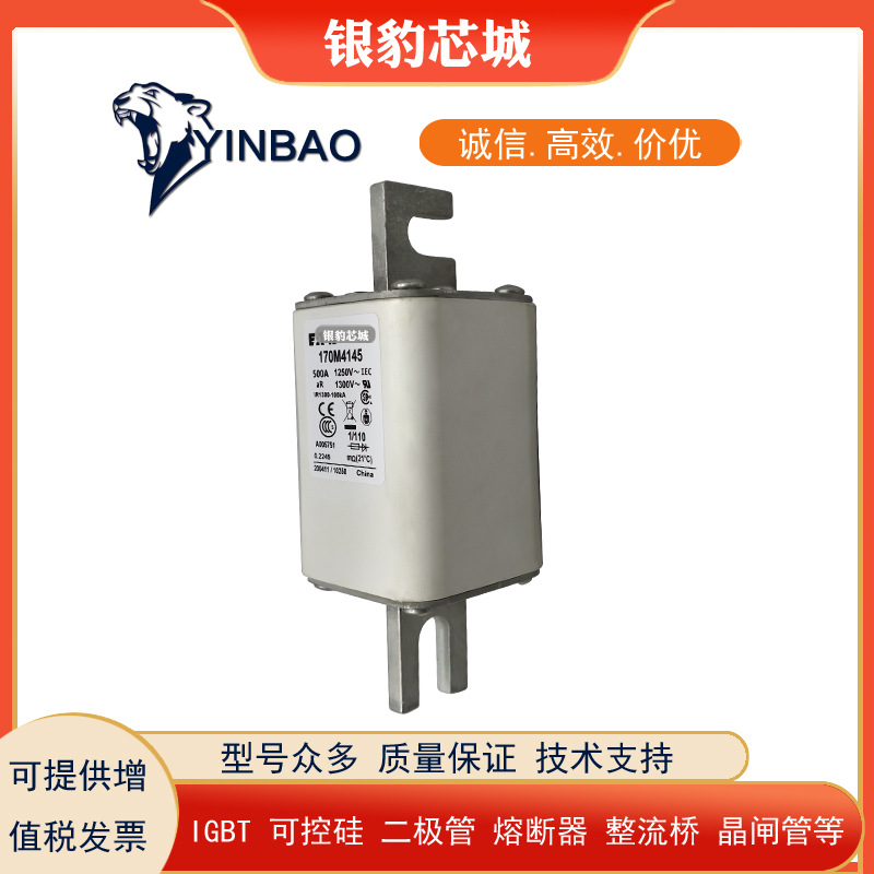 170M4179 170M4180 170M4181 170M4182 170M4183全新熔断器