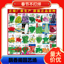 �߲˷N���ļ��������̨ͥԺ��������S�����׷N���ݴ�ȫС���[