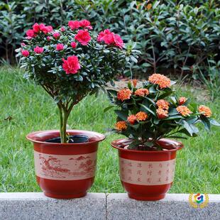 ?���մ����ϻ���͹Ż���F�N���@ˇ������仨��Ӻ��̖��֬