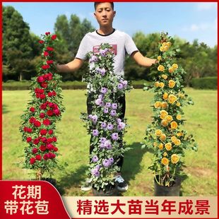 ¼Nޱõļ_ٱͥԺֲ̨ԝͺ