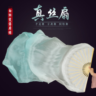 Silk Dance Fan Long Silk Performance Fan Classical Dance Silk Fan Green Mint Rain Children's Long Silk Fan Gradient