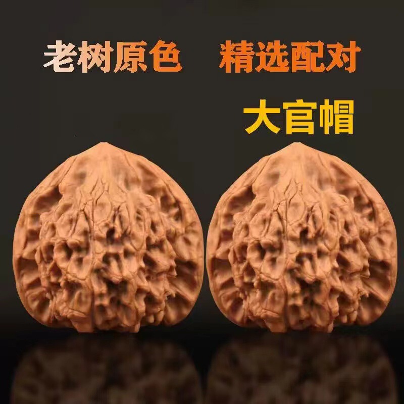 開背ヒキガエルの頭の文はクルミの低い杭を遊んで、先の古い木の延慶の金のヒキガエルの手は収集級の男女を遊んでクルミを遊びます。|undefined