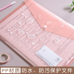File Pouches, Transparent A4, High-Capacity Student Storage & Organizing Document Bags, PP Colorful Snap-Button Test Paper Bags—Wholesale