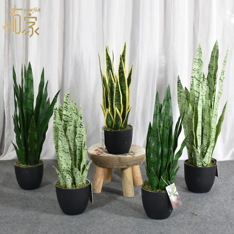 El Comercio exterior caliente-venta artificial planta verde bonsai Tigre piel orquídea decoración de interiores decoración de oro borde Agave Planta artificial