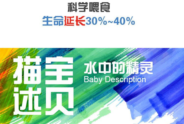 02f2d004-a23f-4291-bc75-82c92bcf22d1.jpe