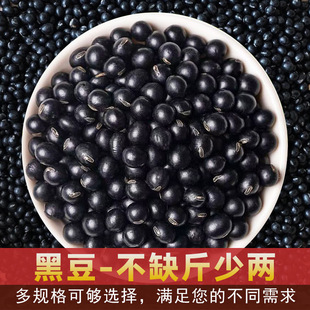 �ڶ������G�Ķ�����s�Z500��250�˴��b�F؛���lԴ�^��̴��l
