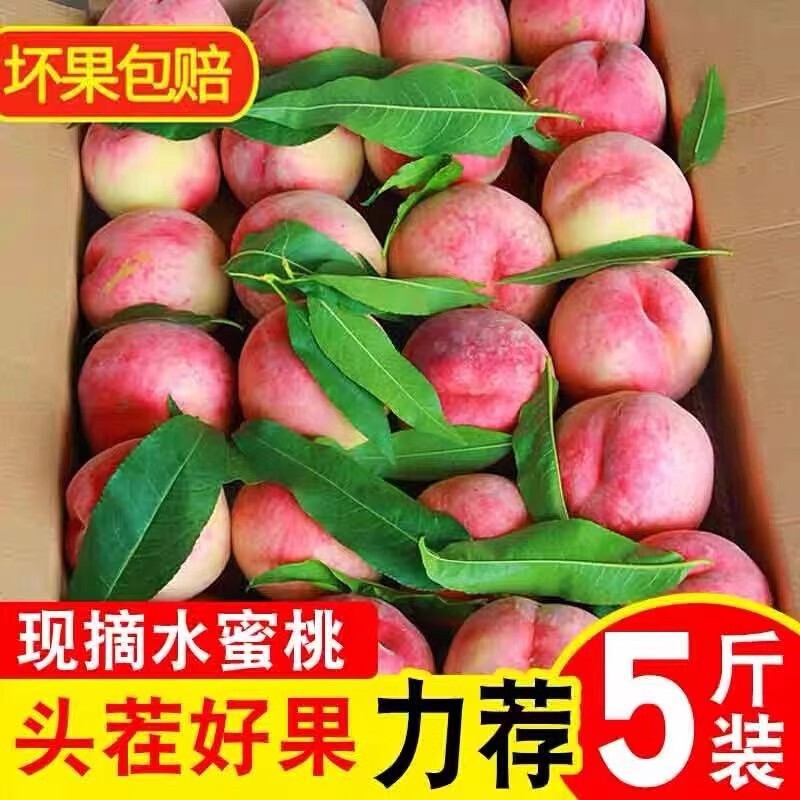 Peach Whole Box 5kg Fresh Seasonal Ripe Peaches for Pregnant Women, Crispy Sweet Peaches, Free Shipping for 5