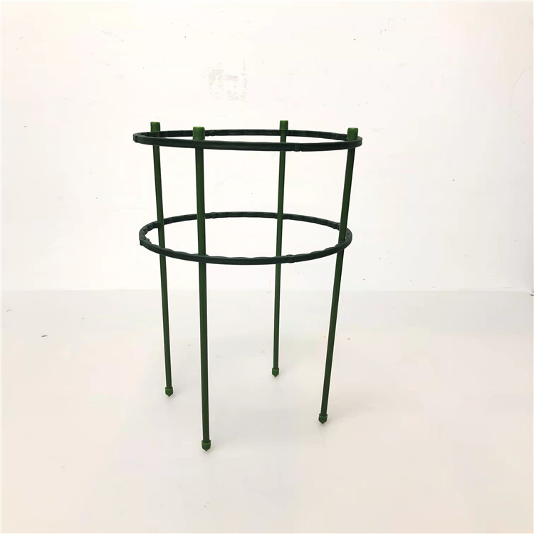 【甘快看】甘肃宕昌县：特色产业显活力