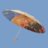New models of 30 % off 16 bone titanium gold and light luxury hand open rain and rain, two -purpose parasol plus printing LOGO gift umbrella, folding umbrella umbrella