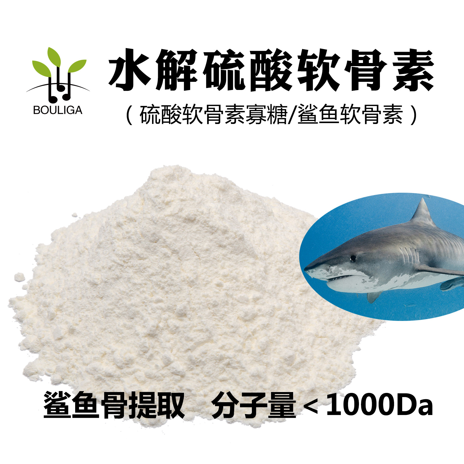 00 水解CS--鲨鱼03 副本