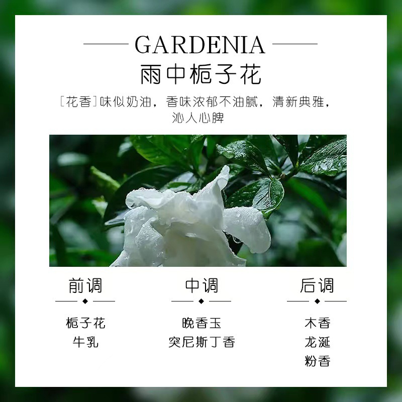 비가 내리는 치자 나무 (폭발)