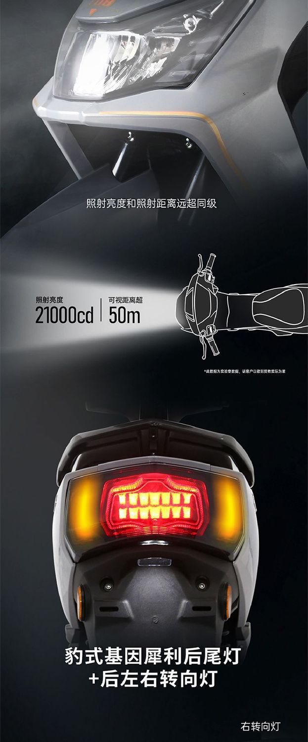72V 32AH Electric Motorcycle 1200W High Power Long Range