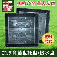 16孔正方形育苗盘育苗盆番茄药材种子扦插多肉种植盆景多肉专用