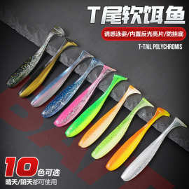 川溪跨境双色t尾软饵路亚假饵铅头钩翘嘴鲈鱼鳜鱼德州钓组鱼饵