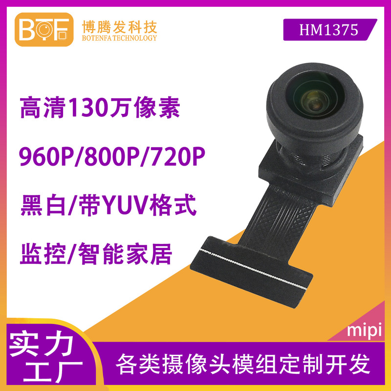 HD 1,300,960 P 720P black and white with YUV HM1375 smart home DVP surveillance camera module