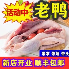 ��5��������ɢ�B����������ˮ�������������r������ֻ�����r����