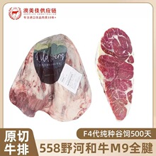 ����Ұ�Ӻ�ţM8-9+ţ�����M��ԭ��ţ����X����558�S���ţС�ȟ�