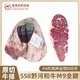 ����Ұ�Ӻ�ţM8-9+ţ�����M��ԭ��ţ����X����558�S���ţС�ȟ�