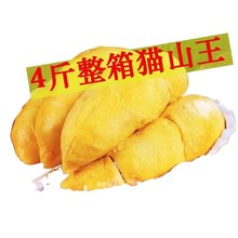 榴莲肉树熟冷冻肉无壳应季孕妇水果批发跨境厂家直发