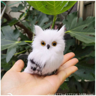 �羳���R�d����؈�^��ë�q����}�Q��������ģ�̓�ͯ���߹���