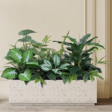 ��ˇ�쾰�҃ȷ����Gֲ���^�M�ϻ��ۻ���ٻ�ֲ�ﲼ���b�