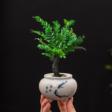 复古小叶紫檀手绘花盆中式仿青花高脚圆口家用透气绿植盆栽可批发