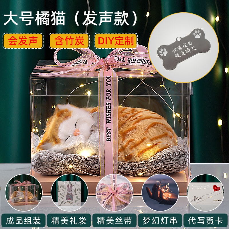 Large orange cat can speak+blessings engraving
