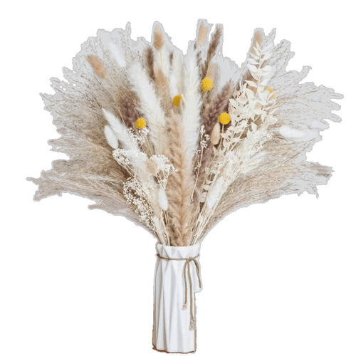 Hot-selling reed set: pampas grass, small reeds, dried flowers, rabbit's tail grass, small dusters, decorative ornaments, living room flower bouquet arrangements.