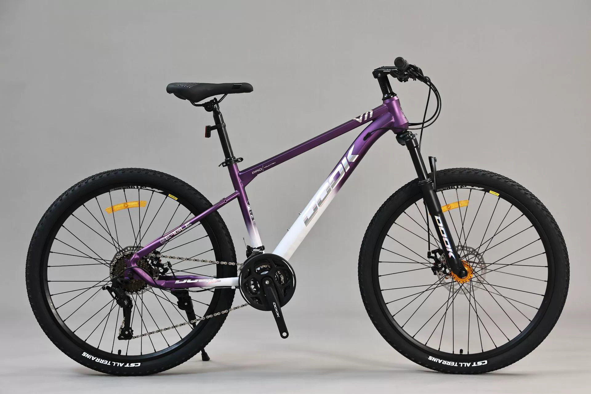 Mountain mountain bike
