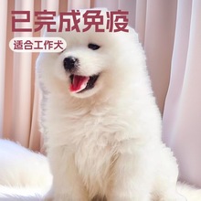 ���������_ĦҮѩ��Ȯ������w�����o�lȮ��ͥ��HȮ����Ȯ����