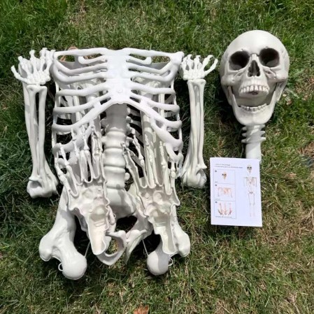 Nuevos productos de Halloween 170 esqueleto grande esqueleto ensamblaje pequeño paquete de comercio electrónico transfronterizo Amazon explosión sentarse colgar fantasma hombre