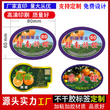 �ƶ��M��Ě�Ȳ����z�˺��ָ̻ʵ۸̰��b�N���M��Ě�Ȱ��b���N��ӡ