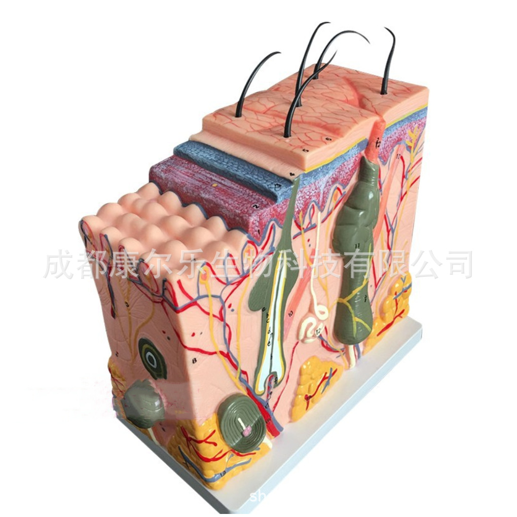 微信图片_20220906182854