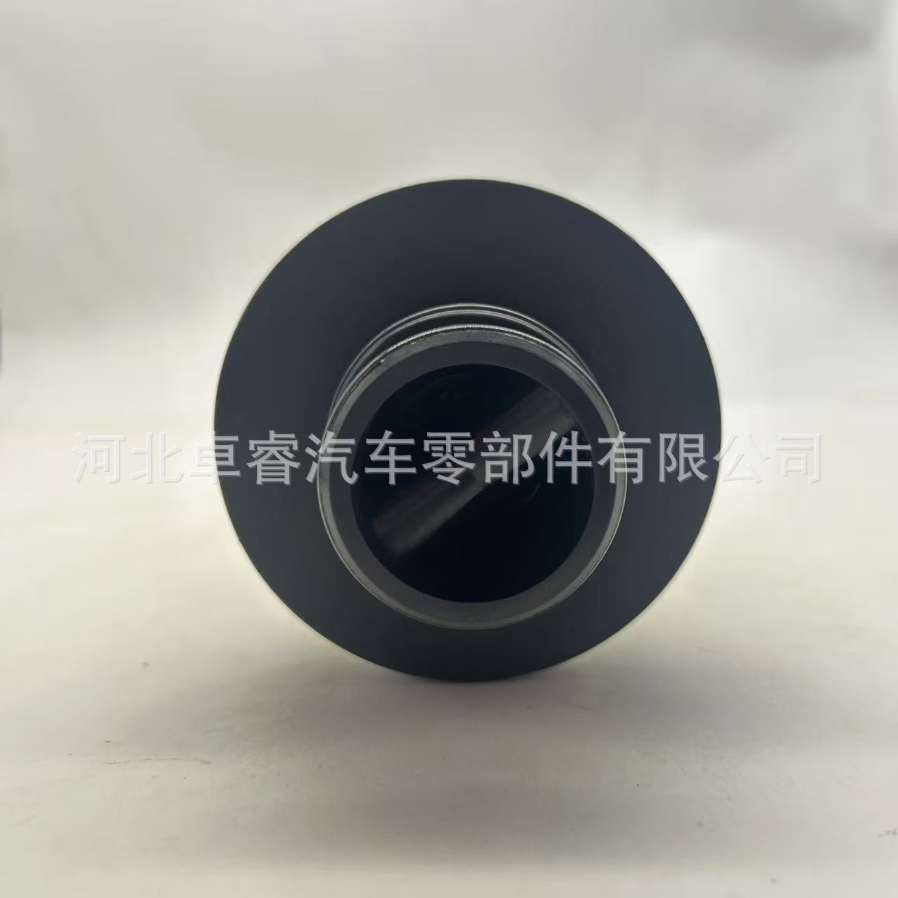Diesel Filter Supports Customized Sn70406 Fs20038 10149977 1034043824 Filter Element