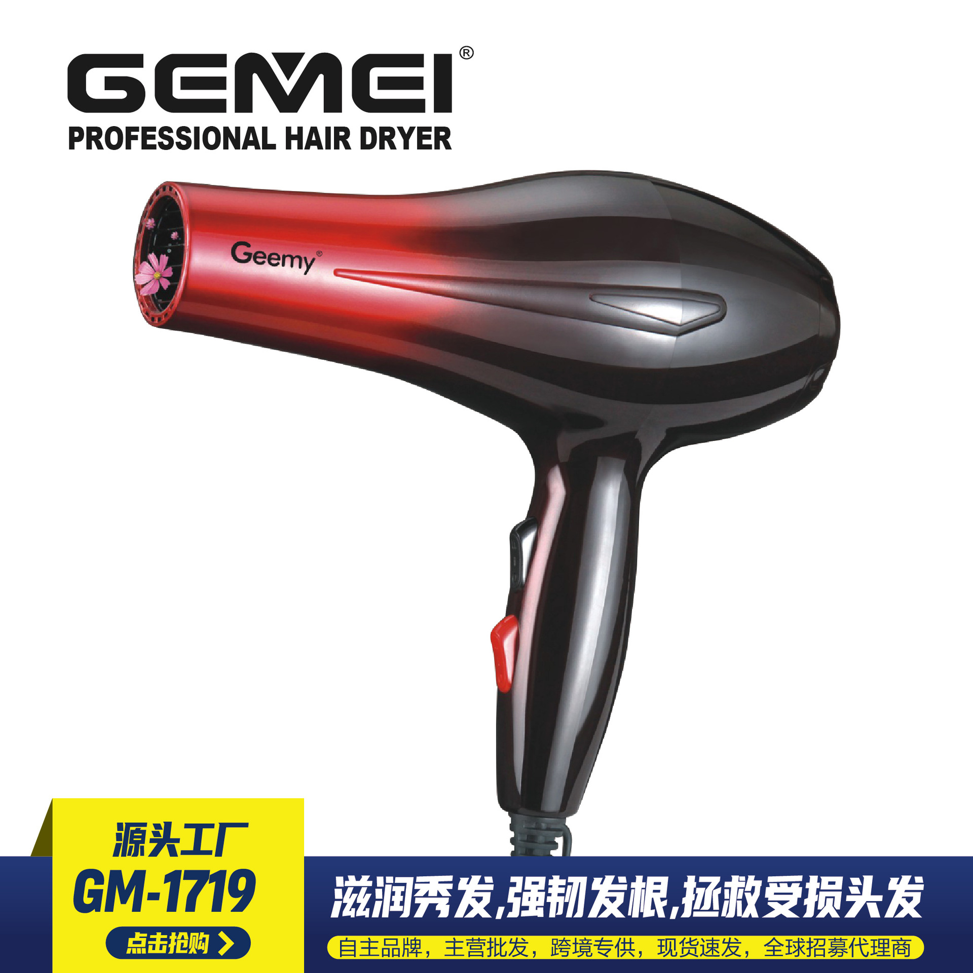 Gemei1719 Hair Dryer 1800W Hot and Cold Air Two-Speed Hair Dryer Cross-Border E-Commerce Hair Styling