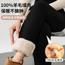 ������ë��ůѝŮ�ӽq�Ӻ���ѝ�|����ѝ�غ��a��ë��䱣ůѝ