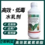高效植物家用杀虫剂氯氰菊酯